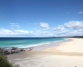 Beach Art Gallery - Accommodation Bookings 0