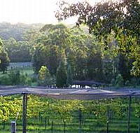 Lyrebird Ridge Organic Winery - Accommodation Bookings