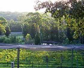Lyrebird Ridge Organic Winery - Accommodation Bookings 0