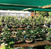 Bonsai at the Bay - Accommodation Bookings