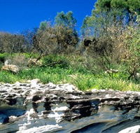 Abrahams Bosom Reserve - Accommodation Bookings