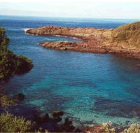 Bass Point Reserve - Accommodation Bookings