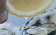 Pearly Oyster Bar And Farm - thumb 0