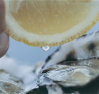 Pearly Oyster Bar and Farm - Accommodation Bookings