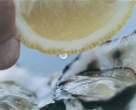 Pearly Oyster Bar And Farm - Accommodation Bookings 0