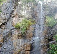 Wedding Bells Forest Drive - Accommodation Bookings