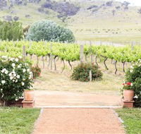 Brindabella Hills Winery - Accommodation Bookings