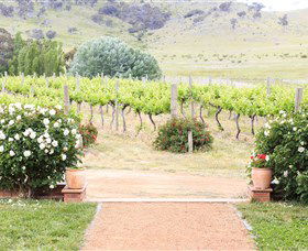 Brindabella Hills Winery - Accommodation Bookings 0