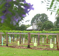 Douglas Vale Historic Homestead  Vineyard - Accommodation Bookings