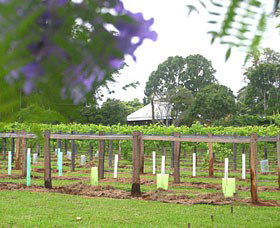 Douglas Vale Historic Homestead & Vineyard - Accommodation Bookings 0
