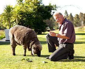 Moorebank Private Vineyard - Accommodation Bookings 2