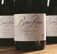 Briar Ridge Vineyard - Accommodation Bookings