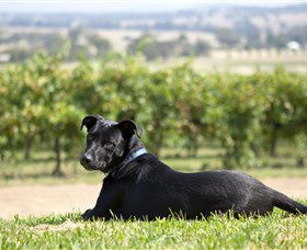Moothi Estate Vineyard And Cellar Door - Accommodation Bookings 0