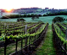 Philip Shaw Wines - Accommodation Bookings 1