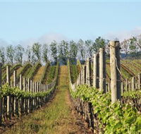 Philip Shaw Wines - Accommodation Bookings
