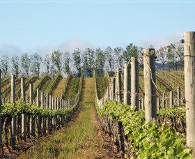 Philip Shaw Wines - Accommodation Bookings 0