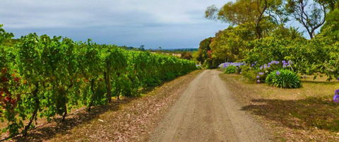 Merricks Estate - Accommodation Bookings 1