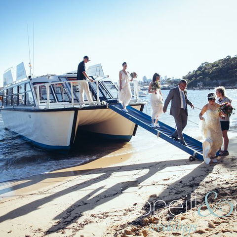 H2O Maxi Taxis - Accommodation Bookings 3