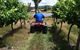Heifer Station - thumb 2