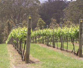 Diamond Creek Estate Cellar Door - Accommodation Bookings 2
