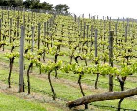 Bantry Grove - Accommodation Bookings 0
