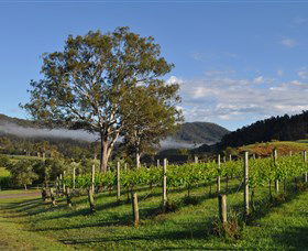 Sarabah Estate Vineyard - Accommodation Bookings 1