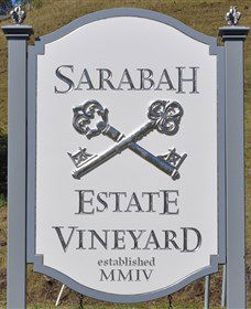 Sarabah Estate Vineyard - Accommodation Bookings 3