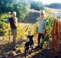 Mt Lofty Ranges Vineyard - Accommodation Bookings