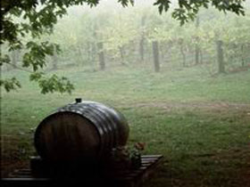 Arranmore Wines - Accommodation Bookings 2