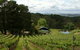 Arranmore Wines - thumb 0
