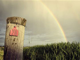 Kalleske Wines - Accommodation Bookings 2