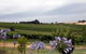 Mount Jagged Wines - thumb 1