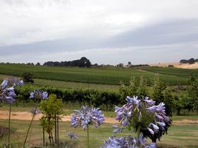 Mount Jagged Wines - Accommodation Bookings 1