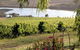 Mount Jagged Wines - thumb 2