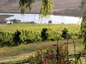 Mount Jagged Wines - Accommodation Bookings 2