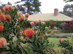 Lavina Wines - Accommodation Bookings 3