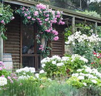 Lavina Wines - Accommodation Bookings