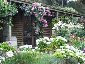 Lavina Wines - Accommodation Bookings 0