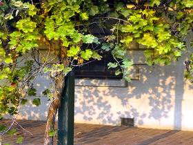 Wolseley SA Accommodation Bookings