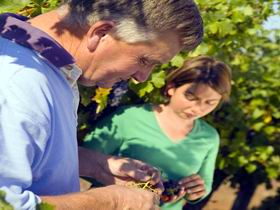 Bowen Estate - Accommodation Bookings 1