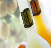 Ambra Limoncello - Accommodation Bookings