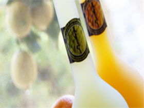 Ambra Limoncello - Accommodation Bookings 0