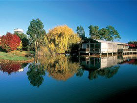 Balnaves Of Coonawarra - Accommodation Bookings 0