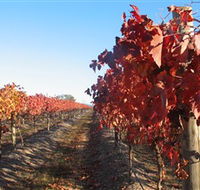 Kooyonga Creek Wines - Accommodation Bookings