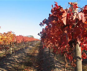 Kooyonga Creek Wines - Accommodation Bookings 0