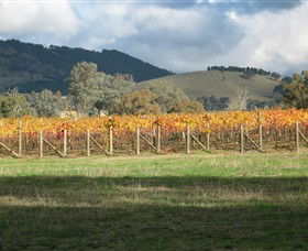 Kooyonga Creek Wines - Accommodation Bookings 4