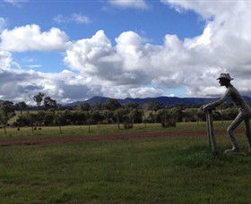 Kooyonga Creek Wines - Accommodation Bookings 3