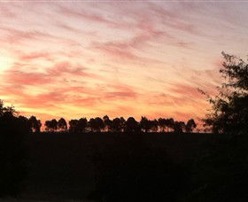 Kooyonga Creek Wines - Accommodation Bookings 2