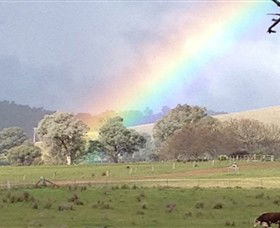 Kooyonga Creek Wines - Accommodation Bookings 5