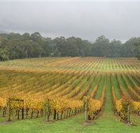 Boat O'Craigo Wines - Accommodation Bookings